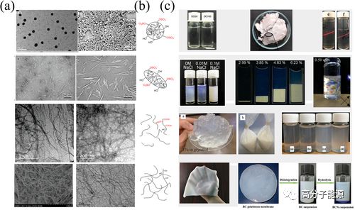 AFM纳米纤维素在柔性电子与储能器件中的多功能应用探索